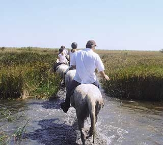  los mejores lugares para montar a caballo en las Bocas del Ródano 